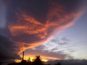 2017-01-07 20.56.15
